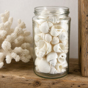 Bulk White Shell Mix Medium