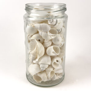 Bulk White Shell Mix Medium