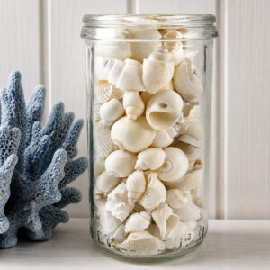Bulk White Shell Mix Small