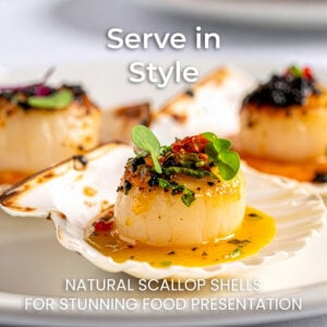 Serve food in Style