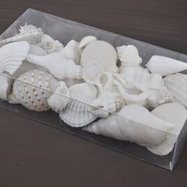Clear box white shells
