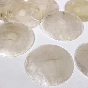 Capiz Windowpane Oyster Shells