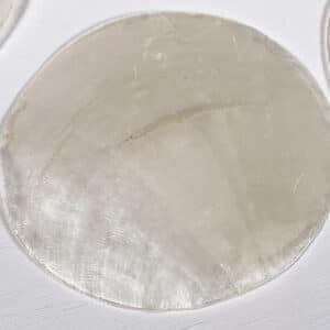 Capiz Windowpane Oyster Shells