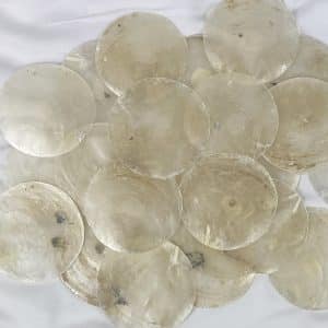 Capiz Windowpane Oyster Shells 75mm
