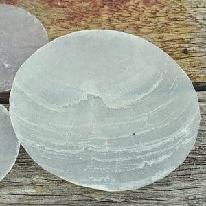 Capiz round (windowpane oysters)