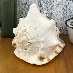 Giant Helmet shell
