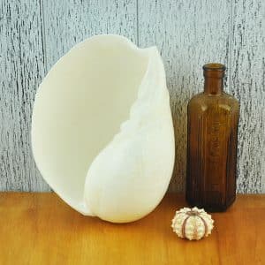 White Melo Baler shell