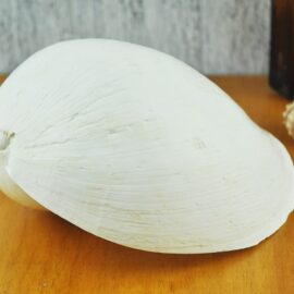 White Melo Baler shell