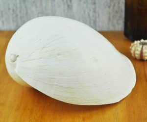 White Melo Baler shell