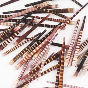 Tiger Urchin Spines