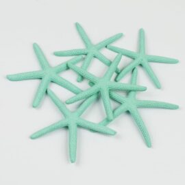 Finger Starfish Mint Green