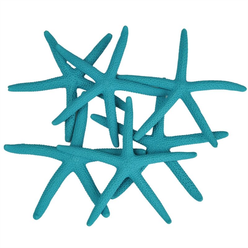 Finger Starfish Turquoise