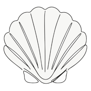 Simply Shells
