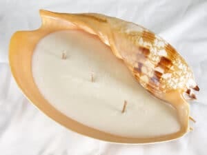 Melo shell 3 Wick soy candle