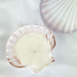Oz Scallop Deluxe Soy Candle