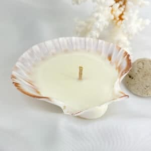 Oz Scallop Deluxe Soy Candle