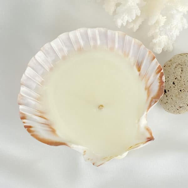 Oz Scallop Deluxe Soy Candle