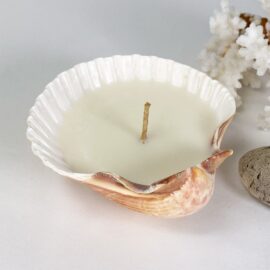 Yellow Scallop Deluxe Soy Candle