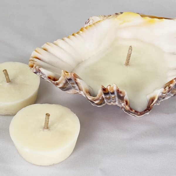 Small Clam Soy Candle