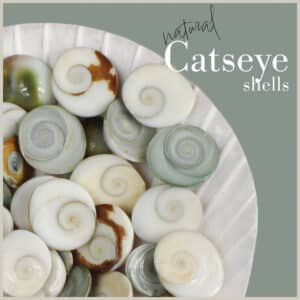 Catseye shells