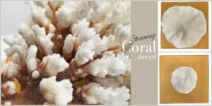Coral decor