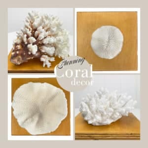 Coral decor