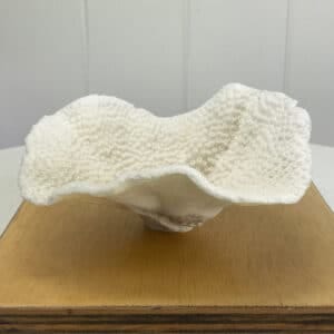 Turbinaria Coral