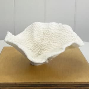 Turbinaria Coral