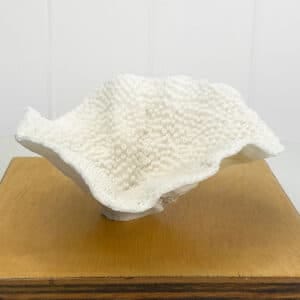 Turbinaria Coral