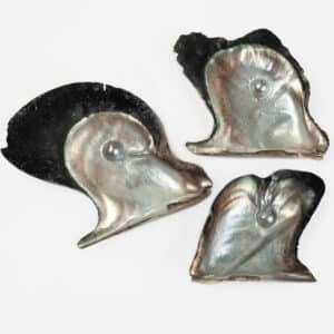 Mother of pearl brownlip half with one blister pearl