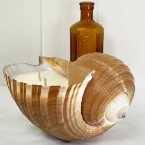 Shell Candles