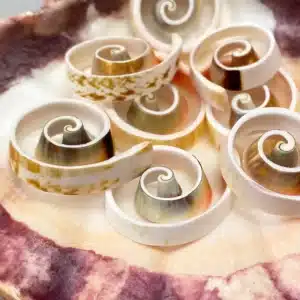 Sliced shells