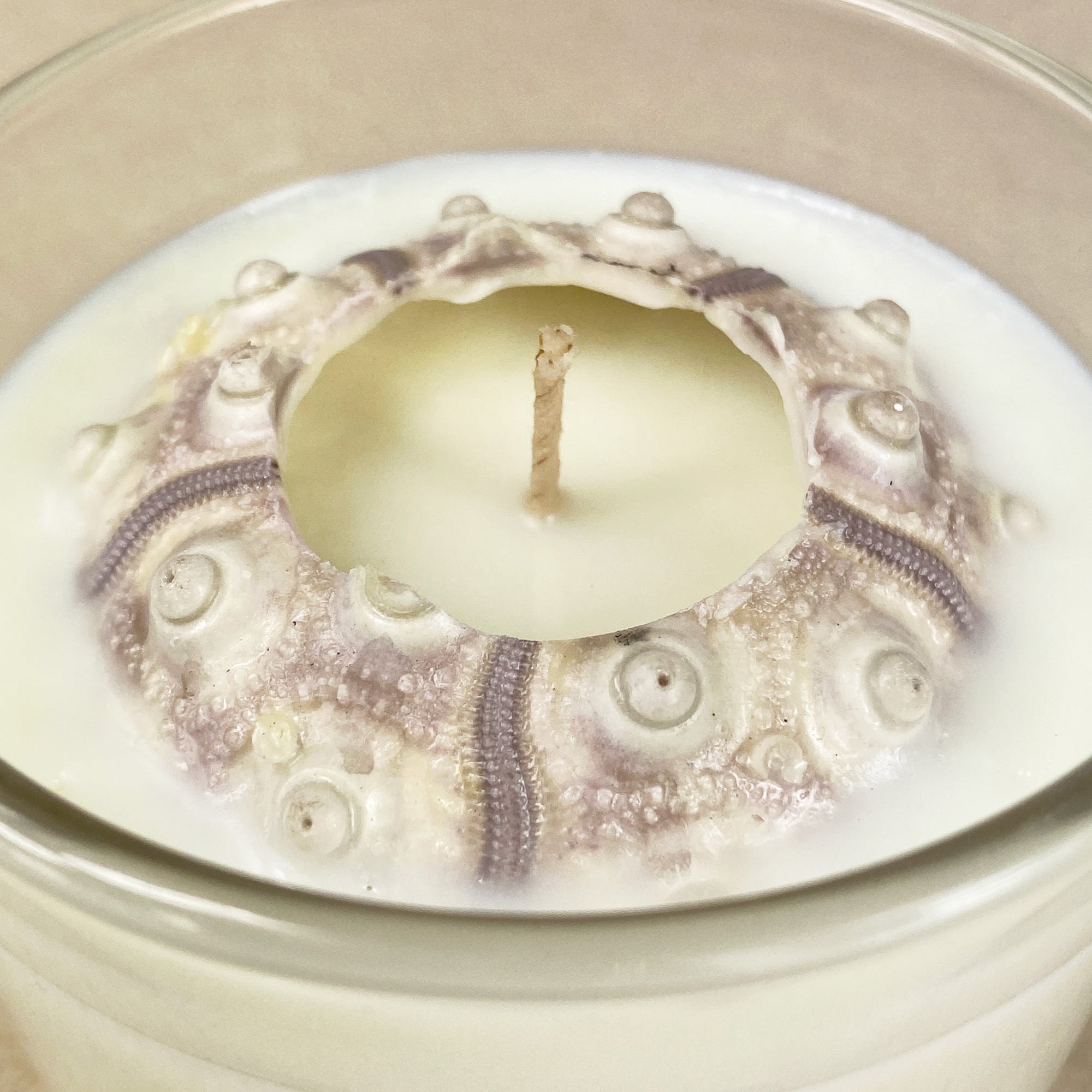 Urchin Oxford Jar Soy Candle