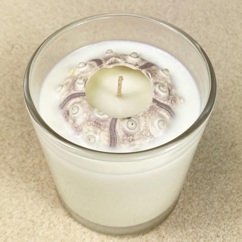 Urchin Oxford Jar Soy Candle