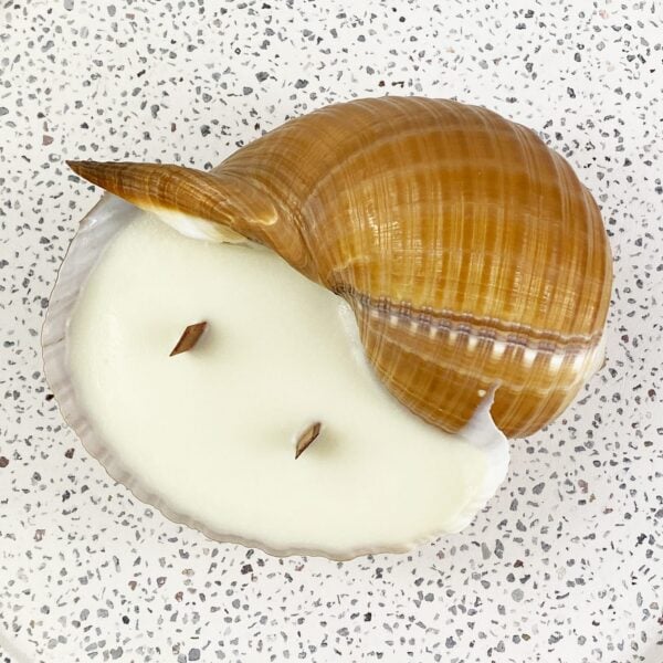 Tan Tonna Double Wick Soy Candle