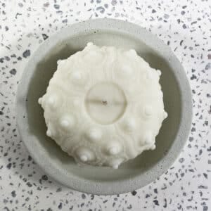 Sputnik Urchin candle