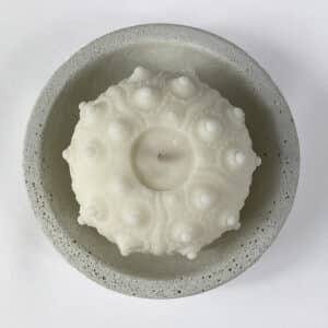 Sputnik Urchin candle