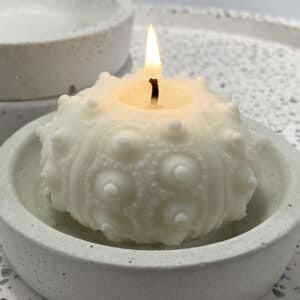 Sputnik Urchin candle