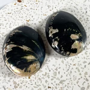 Haliotis Cratcheroidi Abalone Shell