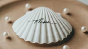 Wedding place cards using scallop shell