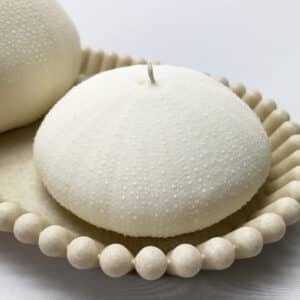 Alphonso Sea Urchin candle