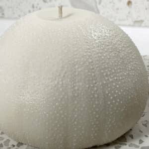 Giant Sea Urchin Candle