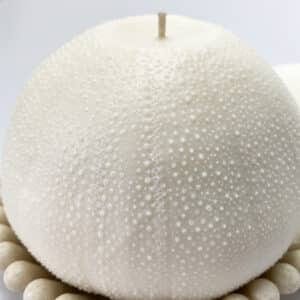 Giant Sea Urchin Candle