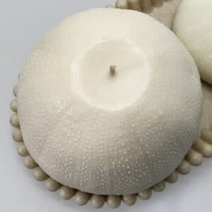 Giant Sea Urchin Candle