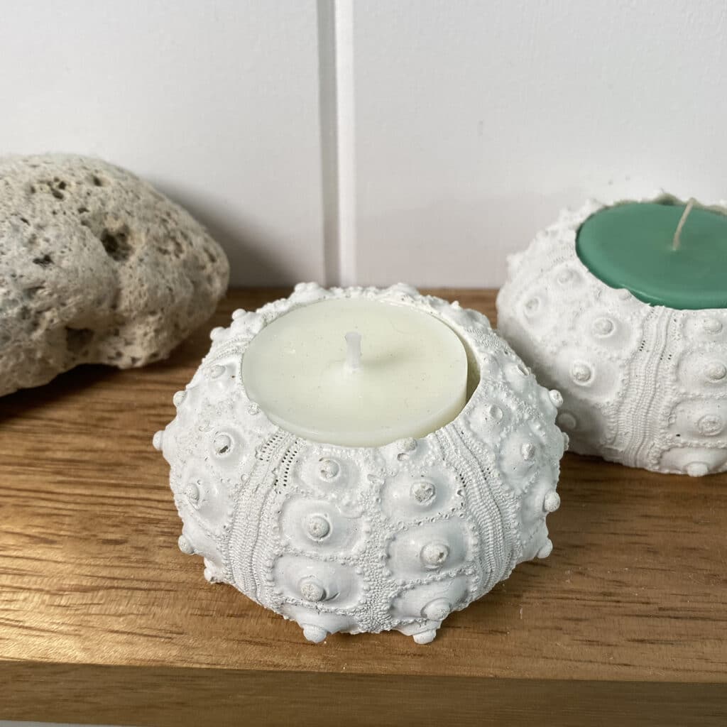Shell Candle Container Sputnik Urchin Rustic Candle Holder - Simply Shells
