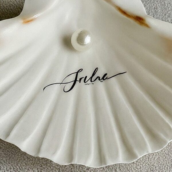 Shells for Place Cards