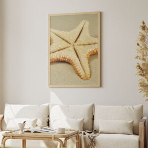 Jungle Starfish on Golden Sand
