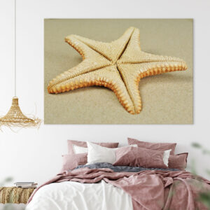 Jungle Starfish on Golden Sand