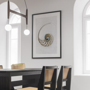 Minimalist Nautilus Centrepiece Shell Photo Print