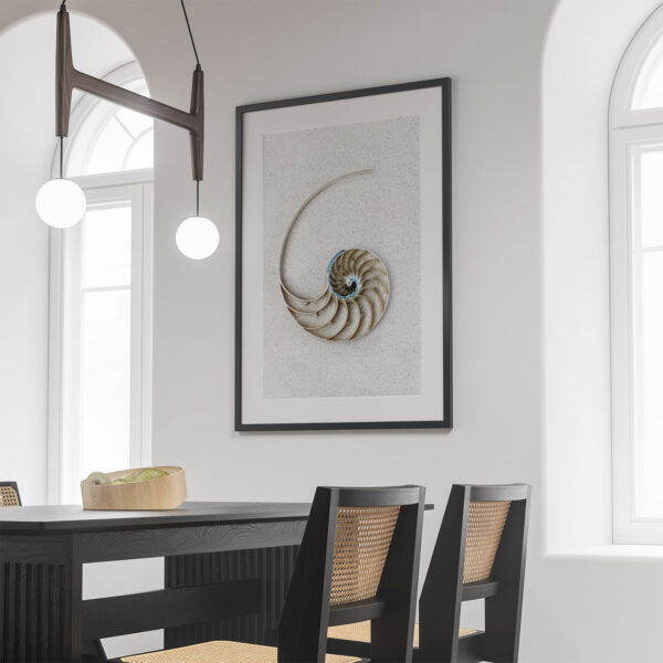 Minimalist Nautilus Centrepiece Shell Photo Print